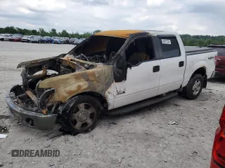 2013 Ford F-150 XL with VIN 1FTFW1ET9DKD49587, listed as a Copart auction lot 56917335 with Not provided miles and Salvage title. Bid and sale history available at DreamBid. Image 1.