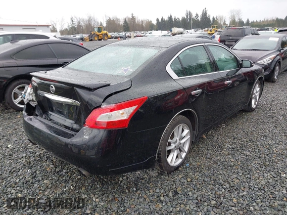 2009 Nissan Maxima SV with VIN 1N4AA51E39C856967, listed as a IAAI auction lot 41919510 with 231,933 mi miles and . Bid and sale history available at DreamBid. Image 4.