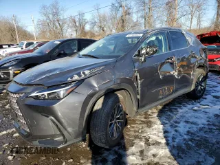 2024 Lexus NX with VIN 2T2AGCEZ4RC053310, listed as a Copart auction lot 42763545 with 10,328 mi miles and Salvage Title. Bid and sale history available at carsss.com. Image 1.
