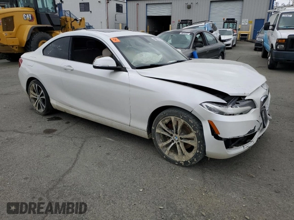 2016 BMW 2 Series 228i with VIN WBA1F9C57GV545699, listed as a Copart auction lot 51140674 with 135,024 mi miles and Clean Title. Bid and sale history available at carsss.com. Image 4.