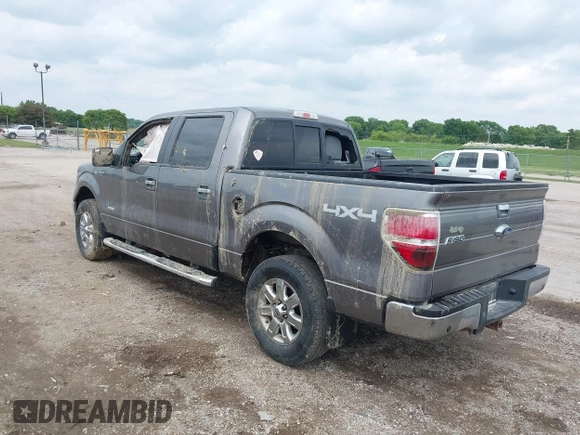 2014 Ford F-150 XL with VIN 1FTFW1ET4EKD59381, listed as a IAAI auction lot 42363671 with 303,429 mi miles and . Bid and sale history available at DreamBid. Image 3.