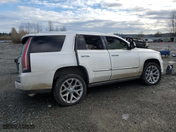 2018 Cadillac Escalade Platinum with VIN 1GYS4DKJ7JR229485, listed as a Copart auction lot 81233874 with 0 mi miles and Salvage Title. Bid and sale history available at carsss.com. Image 3.