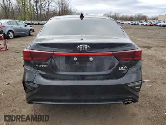 2019 Kia Forte LXS with VIN 3KPF24AD4KE102635, listed as a Copart auction lot 53888085 with 112,576 mi miles and Salvage Title. Bid and sale history available at DreamBid. Image 6.
