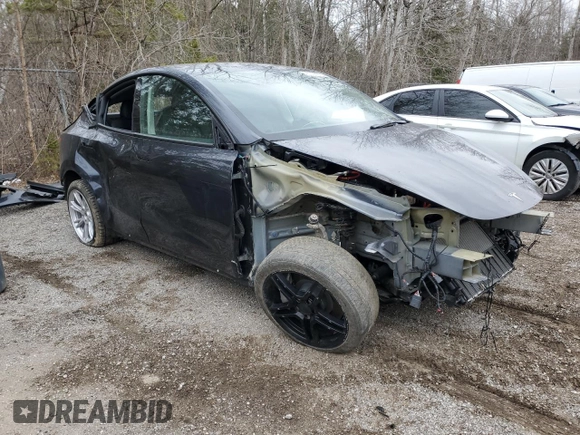 2024 Tesla Model Y Long Range with VIN 7SAYGAEE6RF070354, listed as a Copart auction lot 49826975 with Not Provided miles and Clean Title. Bid and sale history available at DreamBid. Image 4.