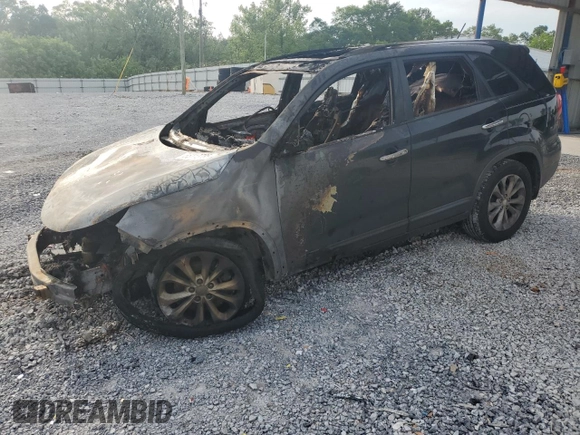 2014 Kia Sorento EX with VIN 5XYKU4A77EG481687, listed as a Copart auction lot 55113785 with Not provided miles and Non repairable. Bid and sale history available at DreamBid. Image 1.