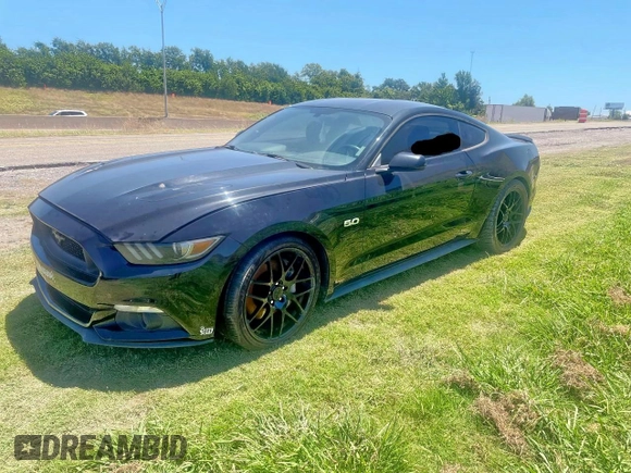 2015 Ford Mustang GT with VIN 1FA6P8CFXF5374945, listed as a Copart auction lot 67069735 with Not provided miles and Clean title. Bid and sale history available at DreamBid. Image 2.