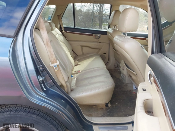 2009 Hyundai Santa Fe SE with VIN 5NMSH13E89H322655, listed as a IAAI auction lot 42029588 with 160,189 mi miles. Bid and sale history available at carsss.com. Image 8.