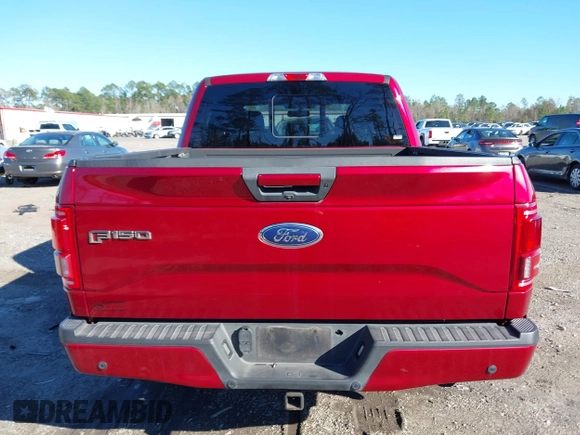 2017 Ford F-150 XL with VIN 1FTEW1EG0HFB05453, listed as a IAAI auction lot 41258902 with 120,411 mi miles. Bid and sale history available at carsss.com. Image 16.
