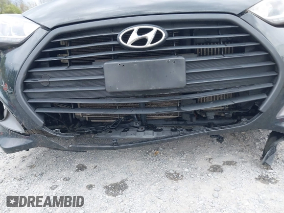 2013 Hyundai Veloster Turbo z VIN KMHTC6AE7DU106831, wystawiony jako IAAI lot #42115348 z przebiegiem 166 914 mil mil oraz . Historia ofert i sprzedaży dostępna na DreamBid. Obrazek 6.
