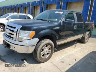 2009 Ford F-150 XL with VIN 1FTRW14809FA31805, listed as a Copart auction lot 59998575 with 199,115 mi miles and Clean title. Bid and sale history available at DreamBid. Image 1.