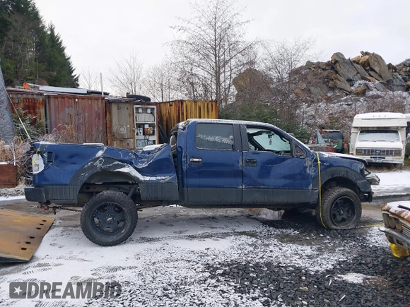 2010 Ford F-150 XL with VIN 1FTFW1EV7AFB50429, listed as a IAAI auction lot 40956419 with 1 mi miles. Bid and sale history available at carsss.com. Image 10.