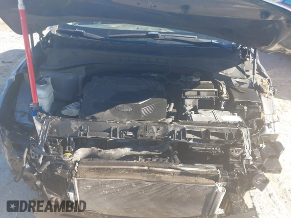 2019 Kia Sorento LX V6 with VIN 5XYPGDA55KG483672, listed as a IAAI auction lot 41043216 with 163,173 mi miles. Bid and sale history available at carsss.com. Image 10.