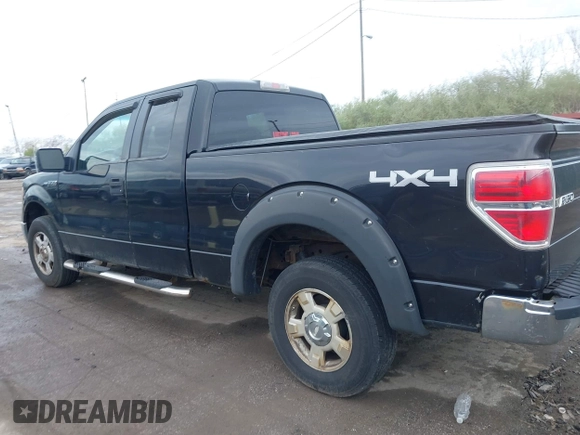 2010 Ford F-150 XL with VIN 1FTEX1E85AFB06495, listed as a IAAI auction lot 42082090 with 161,418 mi miles. Bid and sale history available at carsss.com. Image 14.