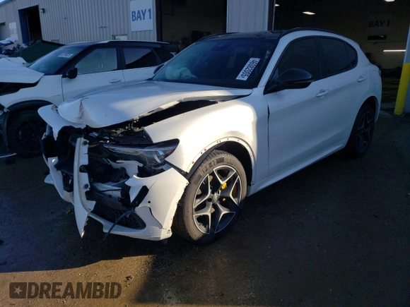 2020 Alfa Romeo Stelvio Ti z VIN ZASPAKBNXL7C93313, wystawiony jako Copart lot #46082005 z przebiegiem 42 508 mil mil oraz Szkoda całkowita • Salvage title. Historia ofert i sprzedaży dostępna na DreamBid. Obrazek 1.