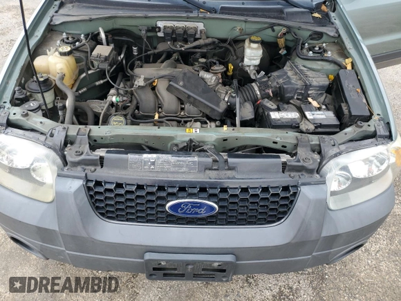 2005 Ford Escape XLT with VIN 1FMCU03105DA17737, listed as a Copart auction lot 79019394 with 183,304 mi miles and Clean Title. Bid and sale history available at DreamBid. Image 12.
