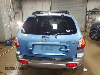 2004 Hyundai Santa Fe GLS with VIN KM8SC13E94U793466, listed as a Copart auction lot 50137425 with 240,888 mi miles and Salvage Title. Bid and sale history available at carsss.com. Image 6.