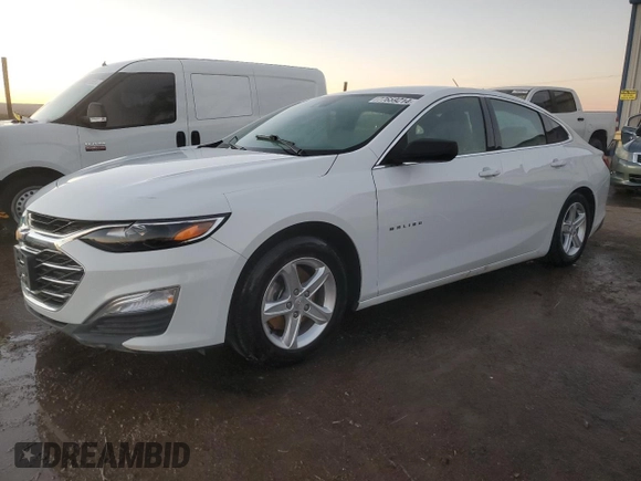 2023 Chevrolet Malibu LS with VIN 1G1ZB5ST3PF113219, listed as a Copart auction lot 77659214 with Not Provided miles and Non Repairable. Bid and sale history available at DreamBid. Image 1.