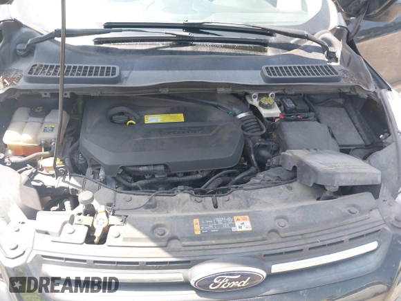 2013 Ford Escape SE z VIN 1FMCU0GX1DUD55435, wystawiony jako IAAI lot #42575683 z przebiegiem 205 271 mil mil oraz . Historia ofert i sprzedaży dostępna na DreamBid. Obrazek 10.