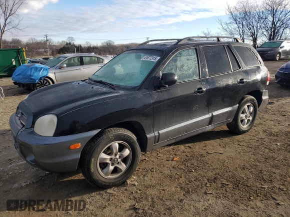 2005 Hyundai Santa Fe GLS with VIN KM8SC13E65U917940, listed as a Copart auction lot 41677315 with 116,335 mi miles and Salvage Title. Bid and sale history available at carsss.com. Image 1.