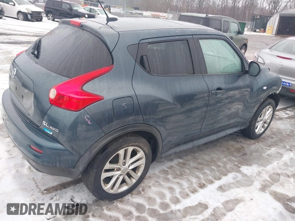 2014 Nissan Juke S with VIN JN8AF5MVXET358075, listed as a IAAI auction lot 41555484 with 122,862 mi miles. Bid and sale history available at carsss.com. Image 4.
