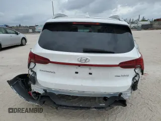 2023 Hyundai Santa Fe Hybrid Limited with VIN 5NMS5DA10PH022423, listed as a Copart auction lot 84305914 with 19,615 mi miles and Non Repairable. Bid and sale history available at carsss.com. Image 6.