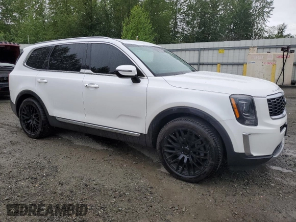 2020 Kia Telluride EX with VIN 5XYP3DHC2LG046777, listed as a Copart auction lot 57917025 with 66,494 mi miles and Salvage title. Bid and sale history available at DreamBid. Image 4.