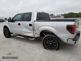 2013 Ford F-150 XL with VIN 1FTEW1CM3DFA47695, listed as a Copart auction lot 47667695 with 164,935 mi miles and Salvage Title. Bid and sale history available at carsss.com. Image 2.