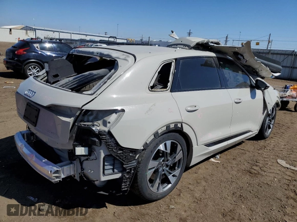 2021 Audi e-tron Premium with VIN WA1AAAGE2MB013264, listed as a Copart auction lot 42162803 with 0 mi miles. Bid and sale history available at carsss.com. Image 3.