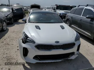 2019 Kia Stinger GT1 with VIN KNAE45LC2K6062123, listed as a Copart auction lot 76540484 with Not Provided miles and Non Repairable. Bid and sale history available at DreamBid. Image 5.