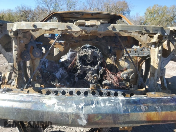 2024 Chevrolet Silverado 1500 LT with VIN 1GCPACEK9RZ194236, listed as a Copart auction lot 81338804 with Not Provided miles and Non Repairable. Bid and sale history available at DreamBid. Image 12.