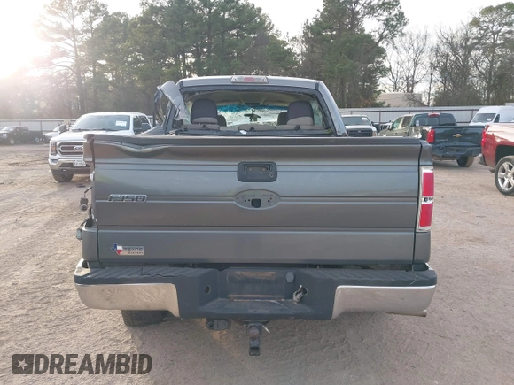 2010 Ford F-150 XL with VIN 1FTEW1C83AFC16015, listed as a IAAI auction lot 41332988 with Not Provided miles and . Bid and sale history available at DreamBid. Image 15.
