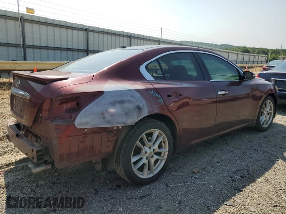 2010 Nissan Maxima SV with VIN 1N4AA5AP8AC837983, listed as a Copart auction lot 58348055 with 217,023 mi miles and Salvage title. Bid and sale history available at DreamBid. Image 3.