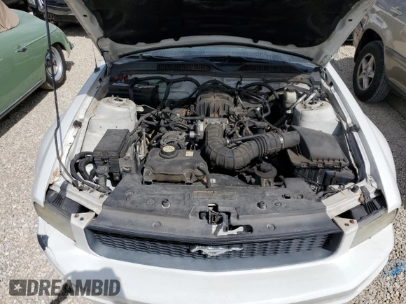 2009 Ford Mustang with VIN 1ZVHT84NX95100750, listed as a Copart auction lot 47085805 with Not provided miles and Clean title. Bid and sale history available at DreamBid. Image 11.