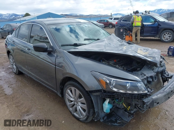 2011 Honda Accord EX with VIN 1HGCP2F79BA137543, listed as a IAAI auction lot 41772032 with 111,296 mi miles and . Bid and sale history available at DreamBid. Image 1.