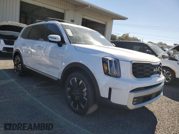2024 Kia Telluride SX with VIN 5XYP54GC0RG552256, listed as a Copart auction lot 81033874 with Not provided miles and Salvage title. Bid and sale history available at DreamBid. Image 4.