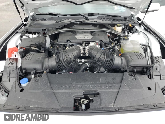 2024 Ford Mustang GT Premium with VIN 1FAGP8FF2R5113703, listed as a Copart auction lot 81685624 with 2,539 mi miles and Salvage title. Bid and sale history available at DreamBid. Image 11.