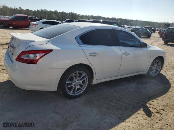 2009 Nissan Maxima 3.5 SV with VIN 1N4AA51E79C834891, listed as a Copart auction lot 79872094 with 147,438 mi miles and Salvage Title. Bid and sale history available at carsss.com. Image 3.