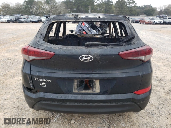 2017 Hyundai Tucson SE with VIN KM8J23A44HU455869, listed as a Copart auction lot 48906865 with Not Provided miles and Non Repairable. Bid and sale history available at DreamBid. Image 6.
