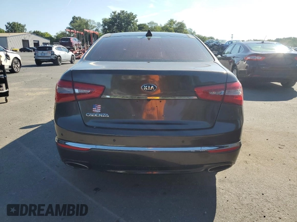 2014 Kia Cadenza Premium with VIN KNALN4D71E5133791, listed as a Copart auction lot 66783294 with 0 mi miles and Salvage Title. Bid and sale history available at carsss.com. Image 6.