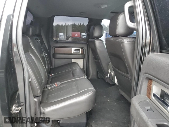 2013 Ford F-150 XL with VIN 1FTFW1ET2DKD16172, listed as a Copart auction lot 44027744 with 164,220 mi miles and Salvage Title. Bid and sale history available at carsss.com. Image 10.