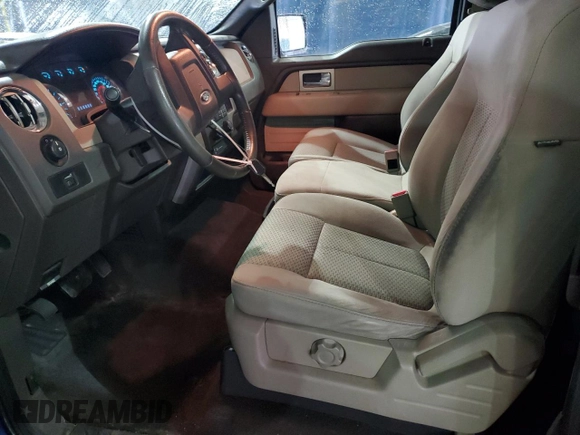 2010 Ford F-150 XL with VIN 1FTEX1E81AFC65403, listed as a Copart auction lot 46464375 with 205,244 mi miles and Clean Title. Bid and sale history available at carsss.com. Image 7.