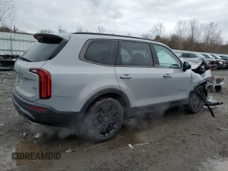 2022 Kia Telluride SX with VIN 5XYP5DHC3NG288104, listed as a Copart auction lot 52617285 with 30,312 mi miles and Salvage Title. Bid and sale history available at DreamBid. Image 3.