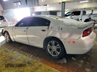 2014 Dodge Charger SXT Plus with VIN 2C3CDXJG1EH148428, listed as a Copart auction lot 41622695 with 0 mi miles and Salvage Title. Bid and sale history available at carsss.com. Image 2.