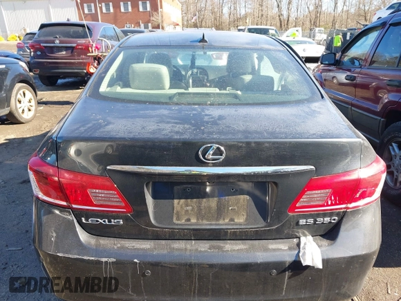 2010 Lexus ES 330 with VIN JTHBK1EG7A2400608, listed as a IAAI auction lot 41368916 with 126,134 mi miles and . Bid and sale history available at DreamBid. Image 17.