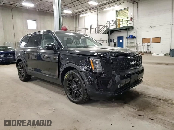 2022 Kia Telluride SX with VIN 5XYP5DHC1NG282155, listed as a Copart auction lot 53046715 with 43,921 mi miles and Salvage title. Bid and sale history available at DreamBid. Image 12.