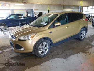2015 Ford Escape SE with VIN 1FMCU0G9XFUA63772, listed as a Copart auction lot 46142315 with 254,814 mi miles and Salvage Title. Bid and sale history available at carsss.com. Image 1.
