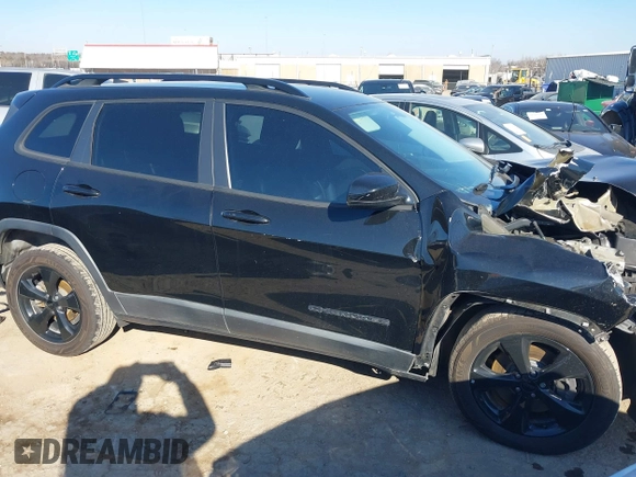 2019 Jeep Cherokee Latitude Plus with VIN 1C4PJLLBXKD339287, listed as a IAAI auction lot 41216180 with 123,265 mi miles. Bid and sale history available at carsss.com. Image 1.