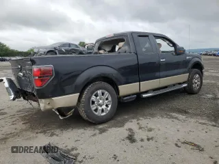 2009 Ford F-150 STX with VIN 1FTRX14819KB81135, listed as a Copart auction lot 61414765 with Not provided miles and Salvage title. Bid and sale history available at DreamBid. Image 3.