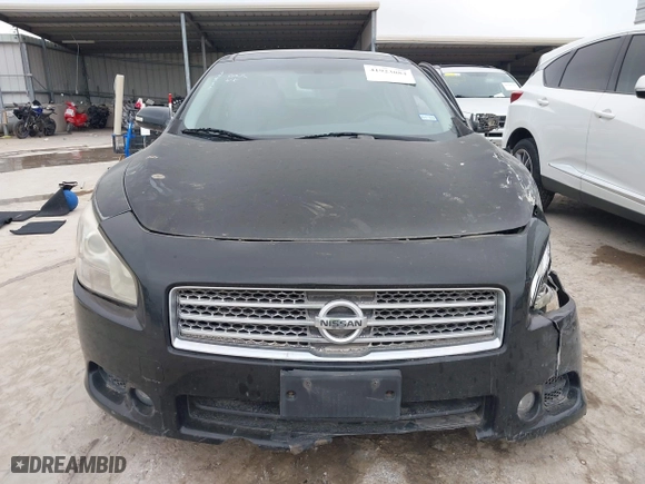 2009 Nissan Maxima 3.5 S with VIN 1N4AA51E89C831062, listed as a IAAI auction lot 41923084 with 176,709 mi miles. Bid and sale history available at carsss.com. Image 12.