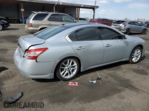 2010 Nissan Maxima SV with VIN 1N4AA5AP1AC858593, listed as a Copart auction lot 53846845 with 145,016 mi miles and Salvage title. Bid and sale history available at DreamBid. Image 3.